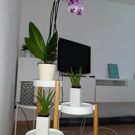 Dimore Posidonia * Calasetta